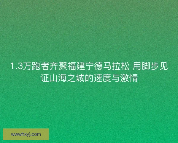 1.3万跑者齐聚福建宁德马拉松 用脚步见证山海之城的速度与激情